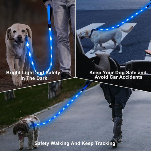 Led Dog Leash 4 Ft - Light Up Rechargeable Waterproof Nylon Reflective Leashes with Padded Handle for Night Walking