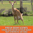 Nationwide Scents Hot Wick Heated Deer Urine Scent Dispenser - Buck Attractant for Whitetail Deer Hunting