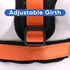 Pawtitas Reflective Dog Harness - Comfortable & Padded for Controlled Walks or Runs - XS, Orange