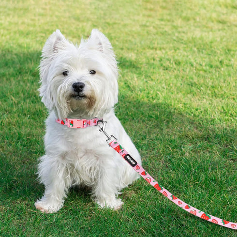azuza Dog Collar and Leash Set - Cute Strawberry Patterns on Pink Nylon Collar and Matching Leash
