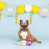 Fringe Studio Plush Dog Toy Set, Sticky Situation, 3 Piece Set for Small Dogs (289599), Multicolor