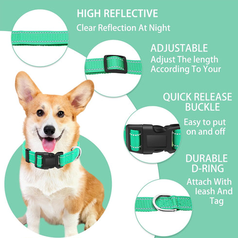 Reflective Dog Collar with Safety Locking Buckle, Adjustable Soft Breathable Nylon Collars for Small, Medium and Large Dogs(Collar+Leash XS Width 5/8" Turquoise)