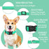 Reflective Dog Collar with Safety Locking Buckle, Adjustable Soft Breathable Nylon Collars for Small, Medium and Large Dogs(Collar+Leash XS Width 5/8" Turquoise)