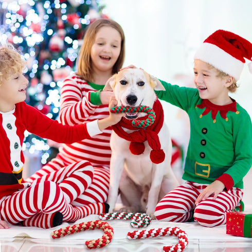Liliful 24 Pieces Christmas in July Dog Rope Toys | Candy Cane Chew Toys for Small Medium Large Dogs