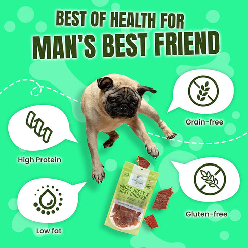 Gourmet Jerky Dog Treats - Natural Chicken Jerky for Dogs, Nutritious, Made in USA, 5 oz