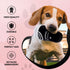 Dog Diggin Designs Nouveau Haute Coffee Station Collection, Unique Squeaky Plush Dog Toys