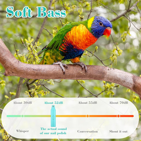 2 Trimmer Finches Lasnten Pcs Bird Nail Grinder with Clipper Bird Nail File Pet Grooming Tool for Parrot Budgerigars