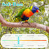 2 Trimmer Finches Lasnten Pcs Bird Nail Grinder with Clipper Bird Nail File Pet Grooming Tool for Parrot Budgerigars
