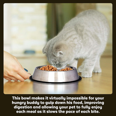 Iconic Pet Set of 2 Stainless Steel Anti-Skid Slow Feed Bowls - 12 oz for Small Dogs, Durable Design