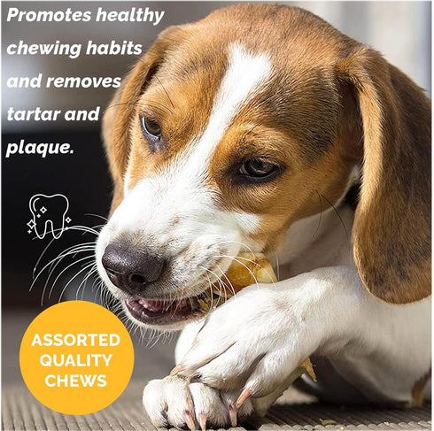123 Pack 4 lb Treats Assorted Natural Dog Chews - Lamb, Beef, Pork & Chicken Jerky Mixed Dog Treats, Digestible Gluten