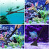 15in Aquarium Aquascape Tools Kit, 4 in 1 Stainless Steel Aquatic Plant Tool Set (Black)