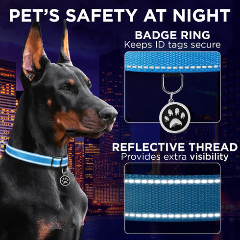 TECEUM Reflective Pet Collar – Basic Nylon Dog Collar – Quick Release Buckle – Sky Blue – M – Extra Soft Padding – Fits