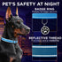 TECEUM Reflective Pet Collar – Basic Nylon Dog Collar – Quick Release Buckle – Sky Blue – M – Extra Soft Padding – Fits
