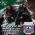 Feline Peptides, Life Extending Cat Supplement, Immune, Joint, Skin and Coat Supplement for Cats, 60 Tablets