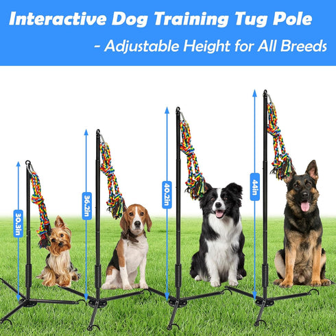 2 Tether Outdoor Dog Toy,Interactive Exercise Game in Yard Park Tug of War for Large Medium Small Dog Puppy with Rope