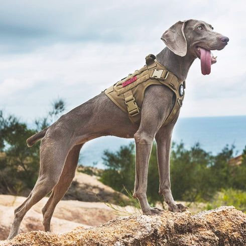OneTigris Tactical Dog Harness with Handle, No-Pull Service Vest with Hook & Loop Panels (Coyote Brown, X-Large)