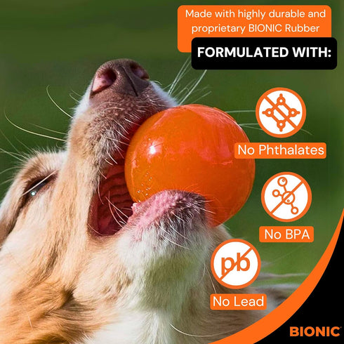 BIONIC Ball Dog Toy, Medium, Interactive Chew Toy for Tough Chewers, for Dogs 15-35 lbs. (7-15 kg.)