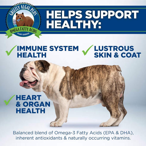 Grizzly Algal Plus Omega Fatty Acids Supplement for Dogs & Cats - 8 Fl Oz - Vegan, Plant-Sourced Algal Oil Omega 3-6-9