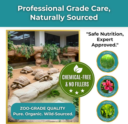 30 Sulcata Tortoise Calcium Powder - Herpetologist Formulated Calcium Powder for Reptiles with High Fiber - Day Shaker