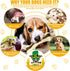 Sosation 10 Pcs Nylon Beef Flavor Dog Chew Toys for Aggressive Chewers, Tough Teething Bones for Medium Breed Dogs