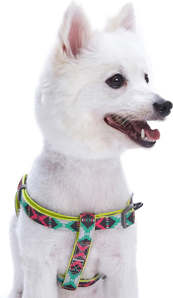Blueberry Pet Step-in Southwestern Vintage Tribal Print Padded Dog Harness, XS/S, Chest Girth 15.5" - 19.5",