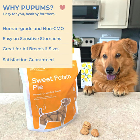 Sweet Potato Dog Treats - Organic, Grain Free, Non-GMO Biscuits Made in USA (8 oz)