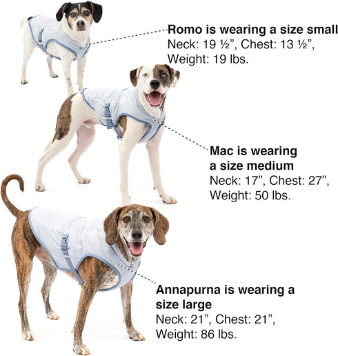 Kurgo Dog Core Cooling Vest, Evaporation Cooler Coat for Dogs, Reflective Material, Adjustable Straps (Large)