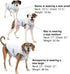 Kurgo Dog Core Cooling Vest, Evaporation Cooler Coat for Dogs, Reflective Material, Adjustable Straps (Large)
