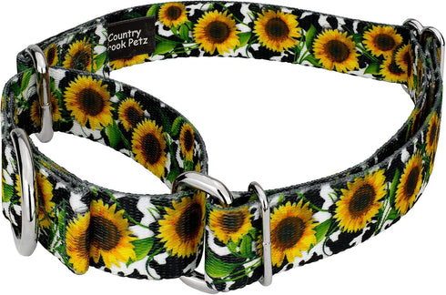 Country Country (1 Inch, Brook Petz - Dairy Fields Martingale Dog Collar and Leash - and Western Collection Featuring