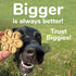 Fruitables Biggies Dog Biscuits, Crunchy with Pumpkin, Healthy Treats, Crispy Bacon & Apple, 16 oz