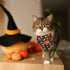 2 Pack Halloween Dog Bandana, Holiday Cat Pumpkin Candy Corn Bandana Bibs Scarf Accessories for Small Mediun Large Dogs