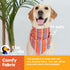 The Dodo Dog Bandana, Striped; Cute Print Bandana for Dogs, Summer Pattern Neck Kerchief for Everyday Pet Apparel