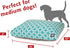 Teal Links Medium Rectangle Indoor Outdoor Pet Dog Bed with Removable Washable Cover by Majestic Pet Products