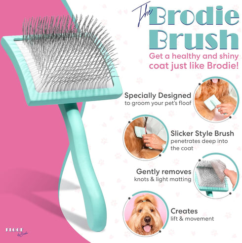 Brodie Dog Brush - Slicker Brush for Shedding and Grooming, Best for Long Haired Dogs and Pets