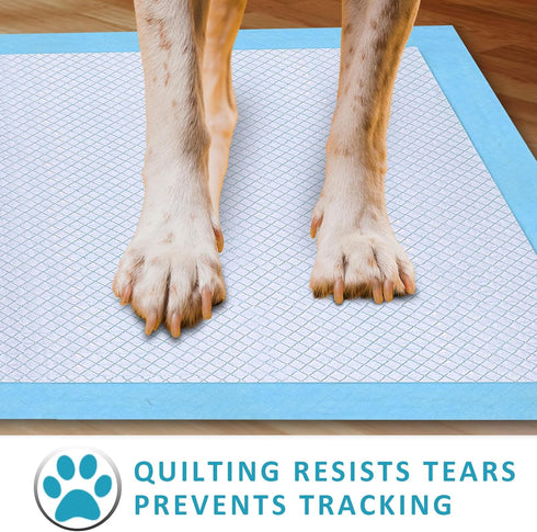 Ownpets Dog Training XL Extra Large Pad, 35’’ x 32’’, Leak-proof 6-Layer Pee Pads for Pets, 40 counts