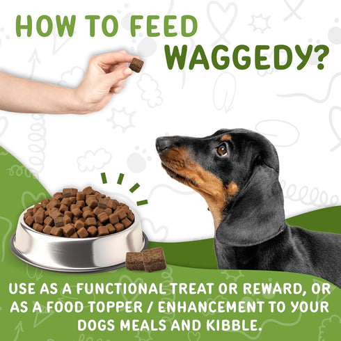 waggedy Daily Essentials Puppy — Full-Spectrum Functional Treats, Dog Supplements & Vitamins for Small or Large Breed