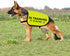 Training Dog Jacket Vest: In Training Ignore Dog Vest with Slogan Warning (Large)