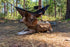 OneTigris Full Length Lightweight Hideout Hammock Underquilt for 4 Season Camping, Hiking, Travel