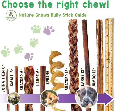 Nature Gnaws Bully Sticks for Dogs, 5-6" (1Lb) - Mixed Thickness, Long Lasting Natural Beef Chew Bones for Aggressive