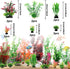 20pcs Fish Tank Accessories, Aquarium Decorations Plants, Fish Tank Decor, Plastic Plants, Small to Large
