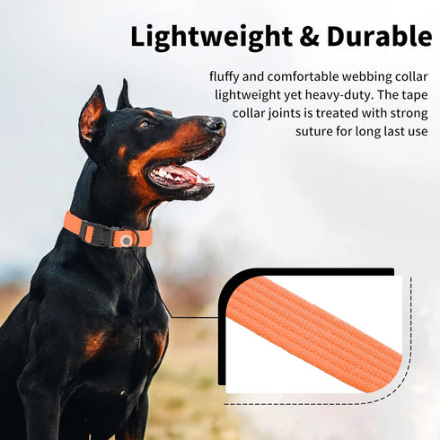 Soft Padded Dog Collar, Adjustable and Breathable Cotton, Solid Color for Little Puppies