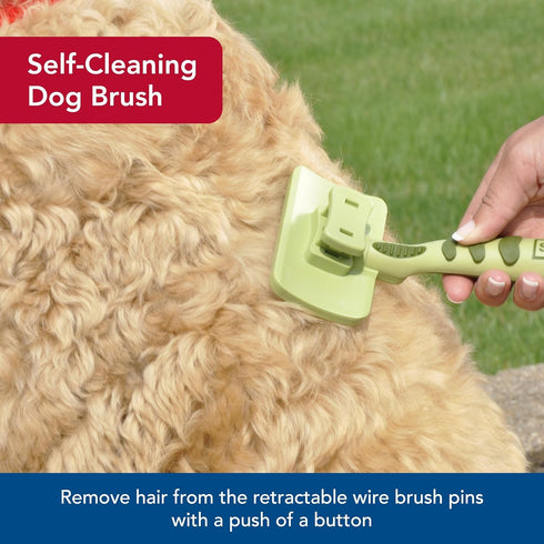 8" 4.5" Coastal Pet Safari Dog Self-Cleaning Slicker Brush - Dog Deshedding Brush - Prevents Mats and Tangled Hair