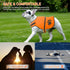 Geyoga 2 Pieces Dog Reflective Vest, Adjustable Safety Pet High Visibility Jacket for Outdoor Activities
