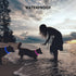 LED Dog Collar | Rechargeable Light Up Collars, IP67 Waterproof for Night Walking, Adjustable for All Dogs (Green)