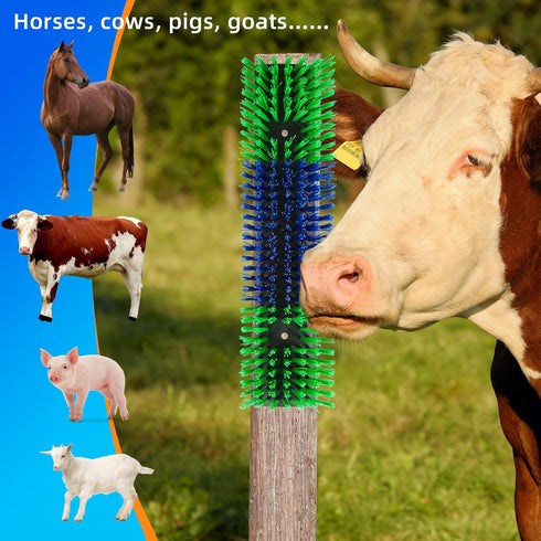 Rouisxue Posts(4pcs, Livestock Scratch Brush for Cattle, Horses, Goats, Cow, Durable Scratching Brush, Massage Grooming