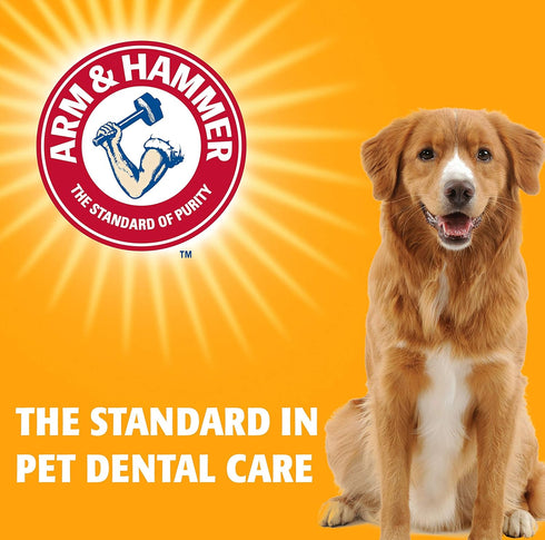 Hammer 2.5 Oz 2 Pack Arm & for Pets Fresh Breath Enzymatic Dog Toothpaste, Vanilla Ginger Flavor, Safe for Puppies
