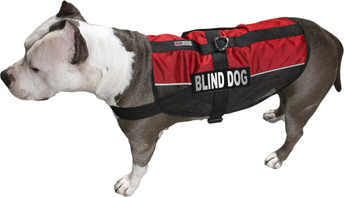 Dogline Removable Patches for Blind Dogs - Large/X-Large