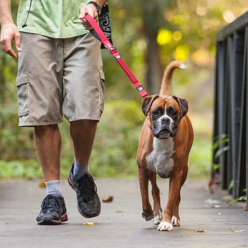 EzyDog Zero Shock Leash - Shock Absorbing Bungee Dog Leash & Training Lead, Double Handle Reflective for Walking,