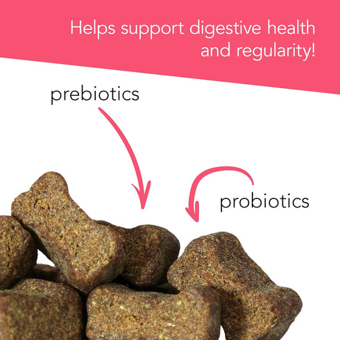 VetriScience Probiotic Everyday for Dogs, Duck Flavor 120 Chews, Supports Itchy Skin, Gut Health, and Gas Relief