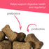 VetriScience Probiotic Everyday for Dogs, Duck Flavor 120 Chews, Supports Itchy Skin, Gut Health, and Gas Relief